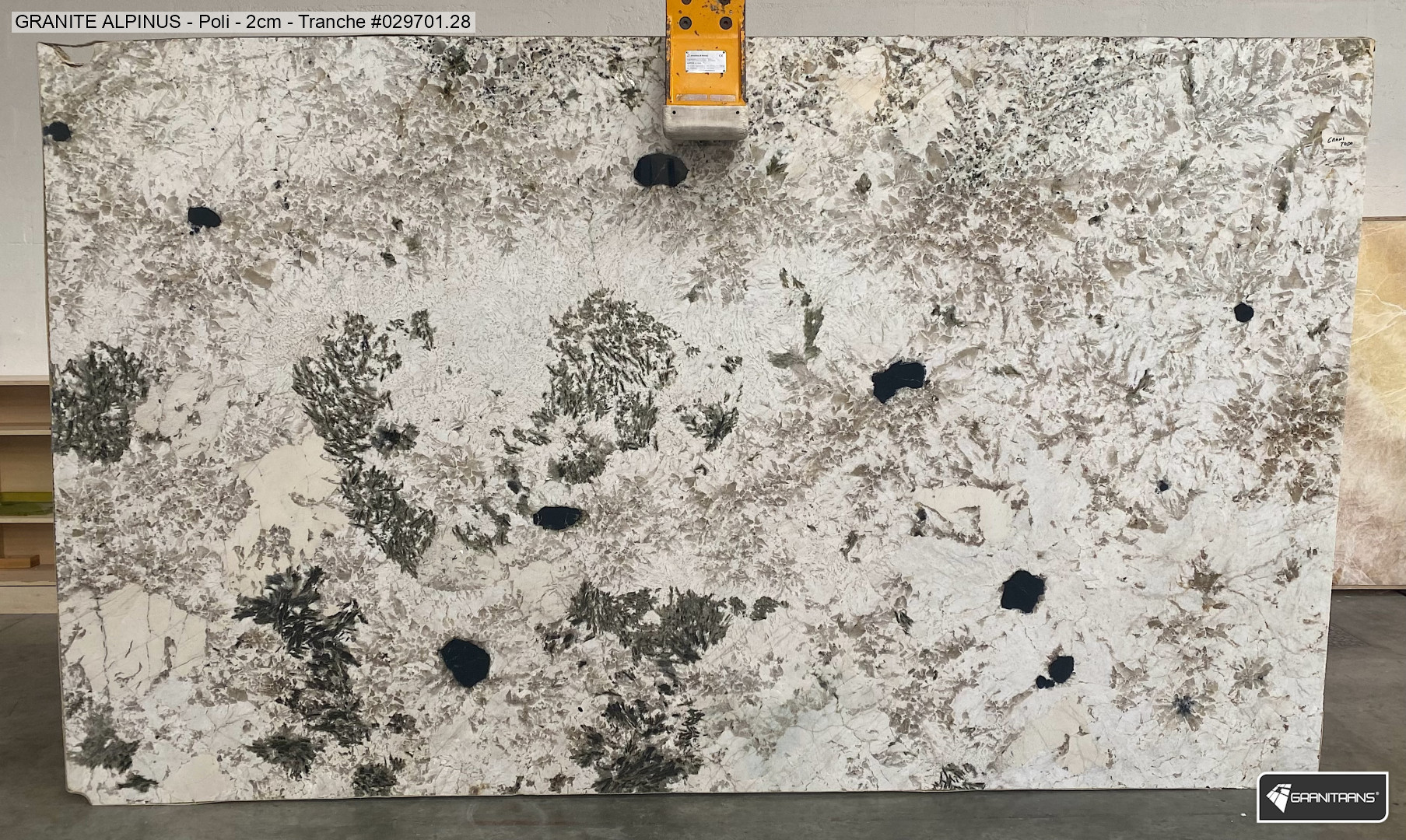 Alpinus Selection II