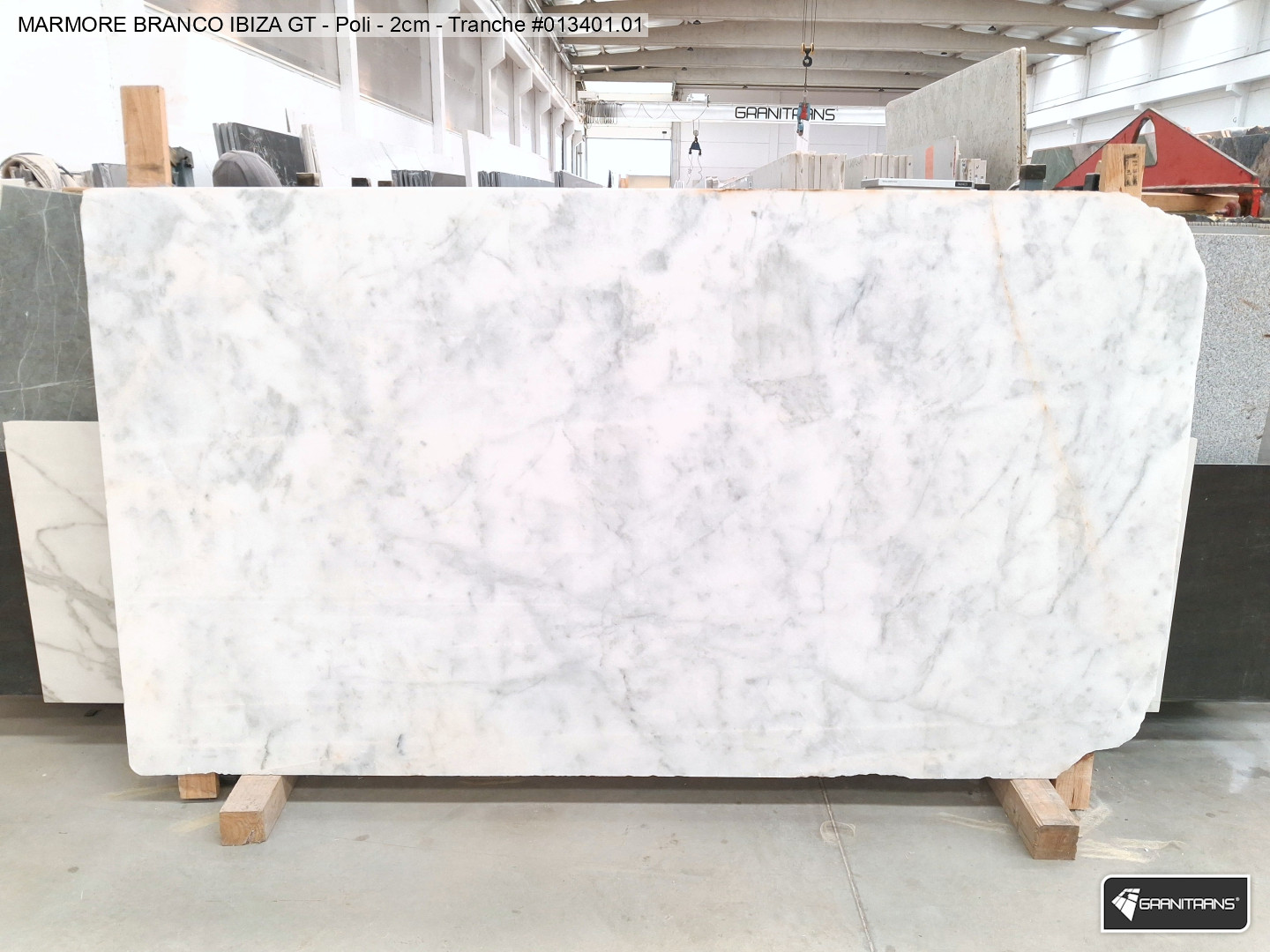 Branco Ibiza GT Selection II