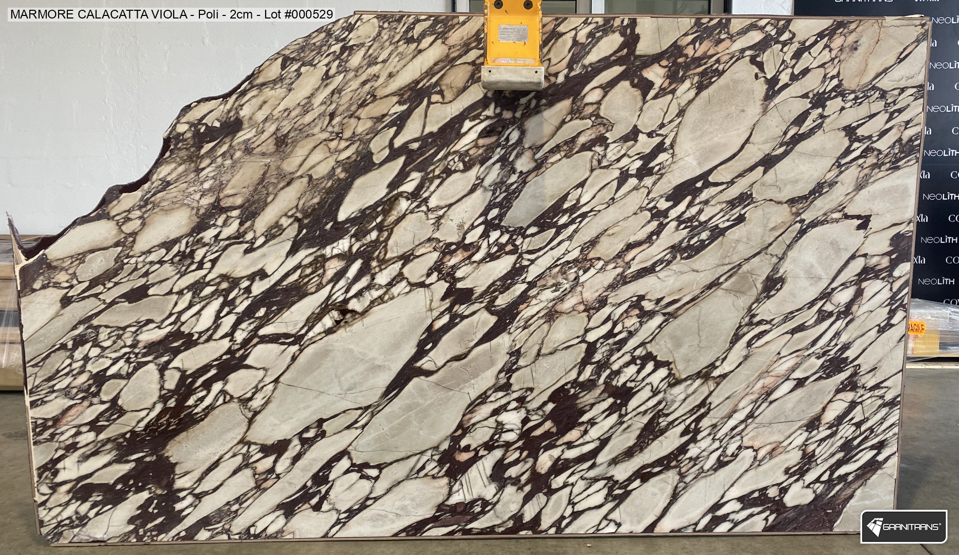 Calacatta Viola Selection Intense